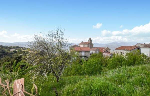 Casa Di Minnana Petreto-Bicchisano Zewnętrze zdjęcie